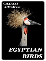 Egyptian Birds: For the most part seen in the Nile Valley