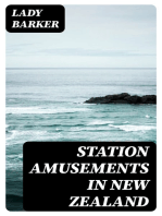 Station Amusements in New Zealand