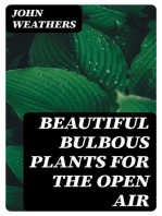 Beautiful Bulbous Plants for the Open Air