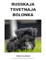 Russkaja Tsvetnaja Bolonka