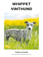 Whippet (Vinthund)