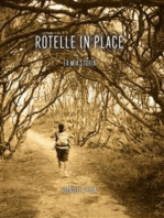 Rotelle in place: La cucina, i sogni e i colori, un piede in ogni continente,incontri di viaggio e un ospite indesiderato.