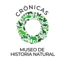 Crónicas. Museo de Historia Natural