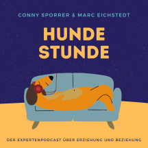 HUNDESTUNDE