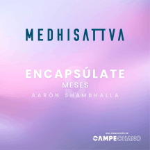 Medhisattva