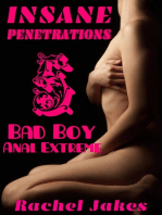 Insane Penetrations, Pt. 5, Bad Boy Anal Extreme