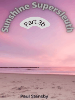 Sunshine Supersleuth Part 3b