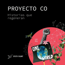Proyecto Co