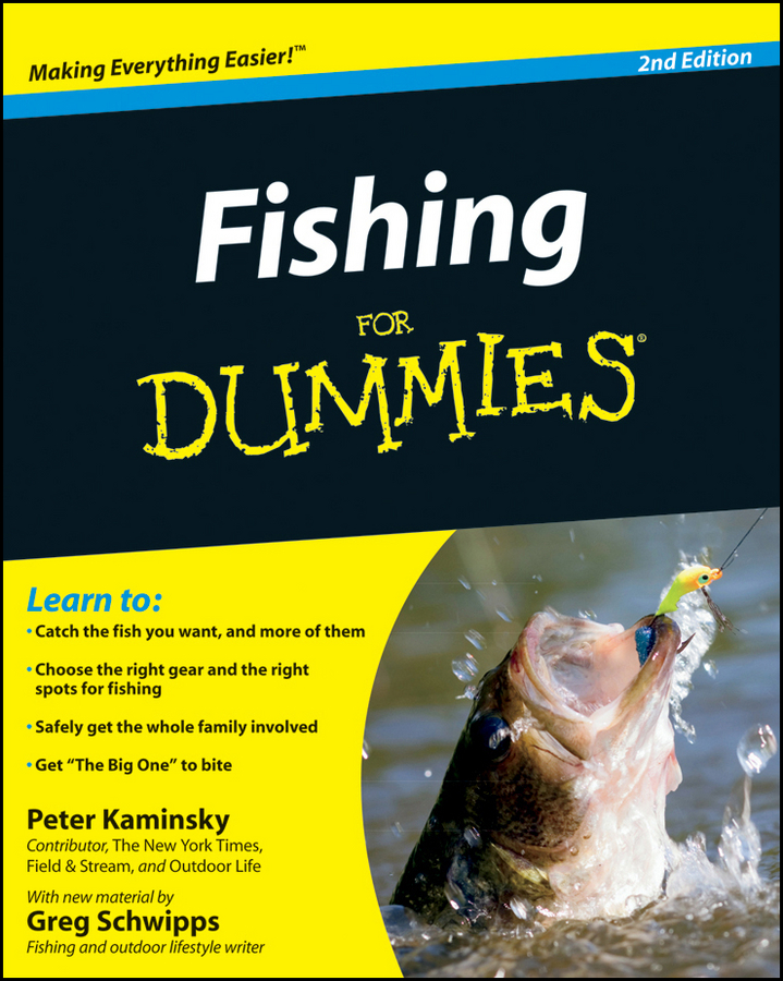 Fishing for Dummies by Peter Kaminsky, Greg Schwipps (Ebook