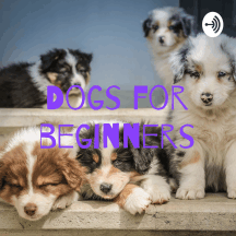 Dogs for beginners