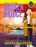 Case of the Broken Bridge: Lucky Lexie Mysteries, #6