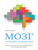 Мозг в стадии разработки. Потрясающие факты об умственном развитии от зачатия до взросления