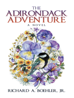 The Adirondack Adventure: A Novel