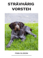 Strävhårig Vorsteh