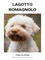 Lagotto Romagnolo