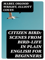 Citizen Bird: Scenes from Bird-Life in Plain English for Beginners