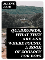 Quadrupeds, What They Are and Where Found