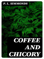 Coffee and Chicory