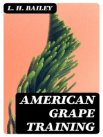 American Grape Training: An account of the leading forms now in use of Training the American Grapes