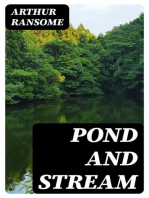 Pond and Stream