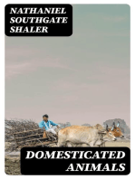 Domesticated Animals: Their Relation to Man and to his Advancement in Civilization