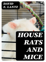 House Rats and Mice