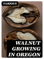 Walnut Growing in Oregon