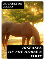 Diseases of the Horse's Foot