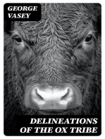 Delineations of the Ox Tribe: The Natural History of Bulls, Bisons, and Buffaloes. Exhibiting all the Known Species and the More Remarkable Varieties of the Genus Bos