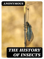 The History of Insects