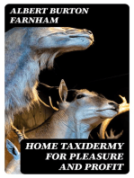 Home Taxidermy for Pleasure and Profit