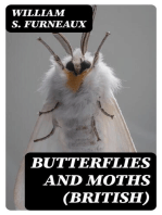 Butterflies and Moths (British)