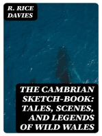 The Cambrian Sketch-Book
