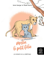 Merlin, le petit félin