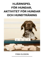 Hjärnspel för Hundar, Aktivitet för Hundar och Hundträning