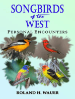 Songbirds of the West: Personal Encounters