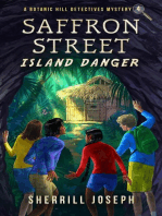 Saffron Street: Island Danger: The Botanic Hill Detectives Mysteries, #4