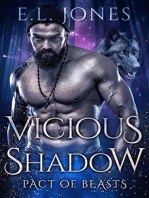 Vicious Shadow