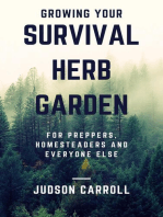 Growing Your Survival Herb Garden for Preppers, Homesteaders and Everyone Else