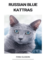 Russian Blue (Kattras)