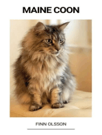 Maine Coon