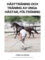 Hästträning och Träning av Unga Hästar (Fölträning)