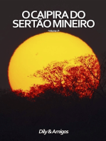 O Caipira Do Sertão Mineiro