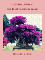 Bonsai Livro 2