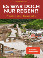 Es war doch nur Regen!?: Protokoll einer Katastrophe