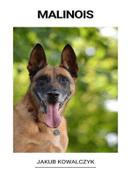 Malinois