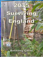 2075 Surviving England