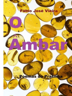 O Âmbar