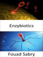 Enzybiotics: Energizing antibiotics as an effective weapon in the fight against infections