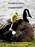 Pata Mãe E Seu Patinho